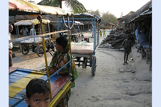 Viaggio in India 2008 - Sunderbans